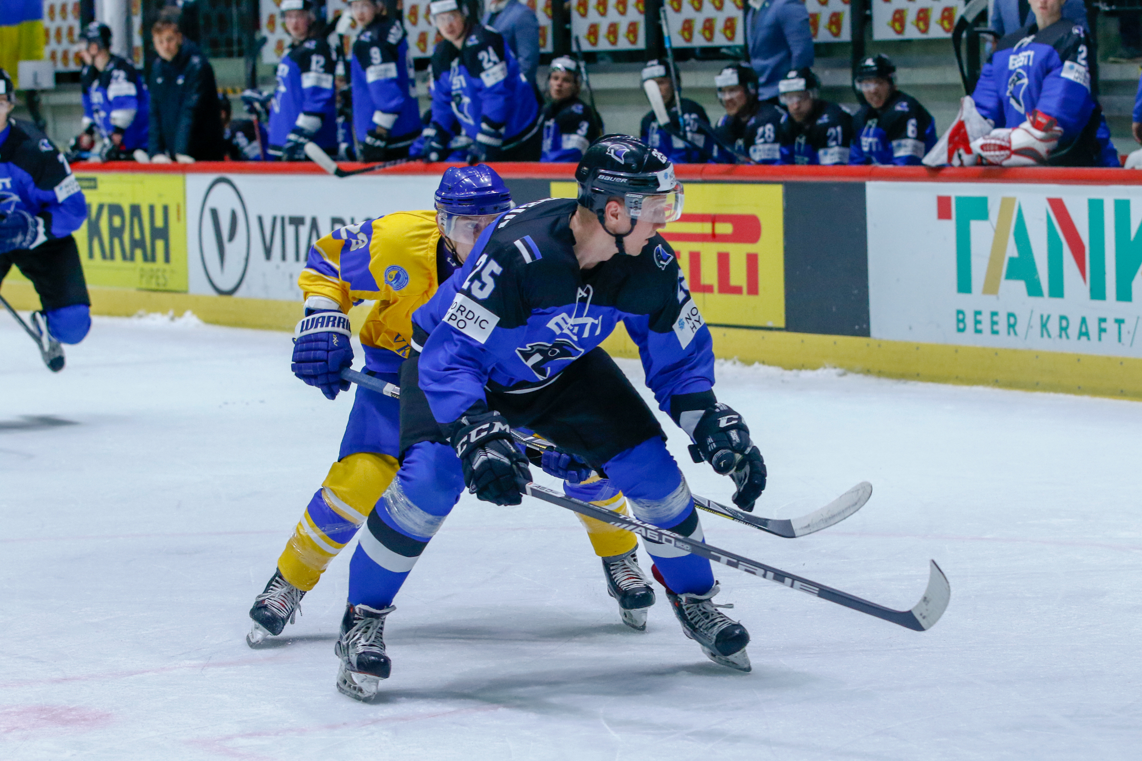 IIHF Estonia fourth after OT win