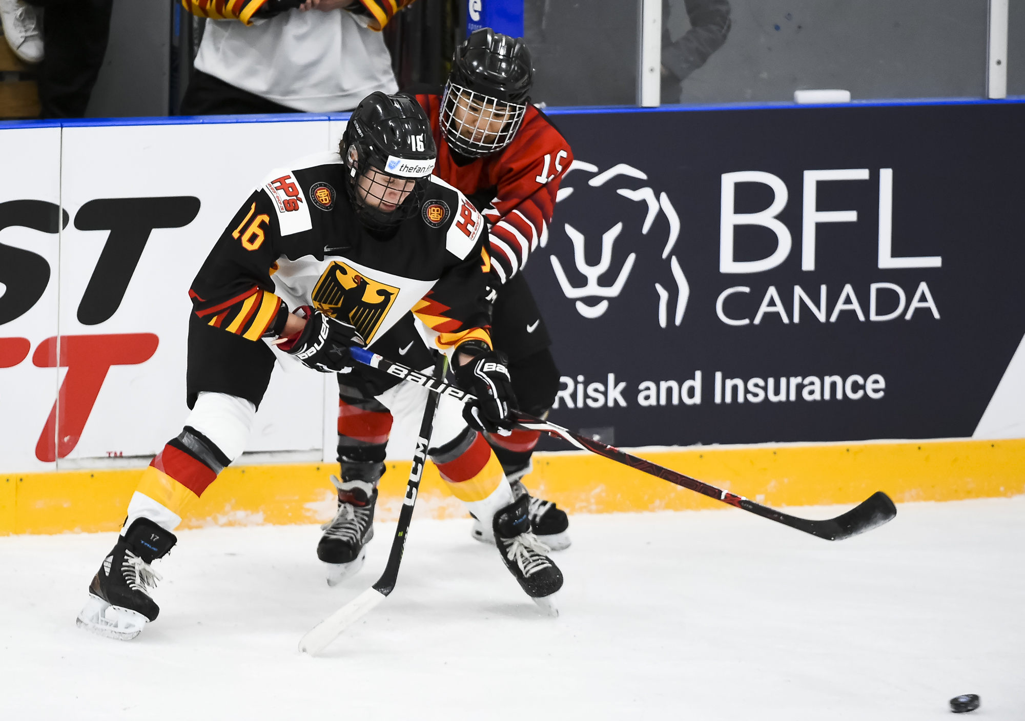 Iihf Deutschland Iihf Deutschland